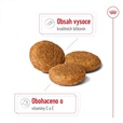 Royal Canin Medium Adult 7+ 4 kg - Granule pro psy