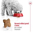 Royal Canin Mini Adult 8 kg - Granule pro psy