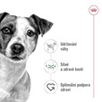 Royal Canin Mini Adult 8 kg - Granule pro psy