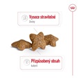 Royal Canin Mini Adult 8 kg - Granule pro psy