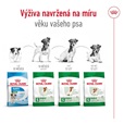 Royal Canin Mini Adult 8+ 8 kg - Granule pro psy