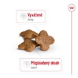 Royal Canin Mini Adult 8+ 8 kg - Granule pro psy