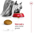 Royal Canin X-Small Adult 3 kg - Granule pro psy
