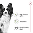 Royal Canin X-Small Adult 3 kg - Granule pro psy