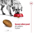 Royal Canin Maxi Adult 4 kg - Granule pro psy