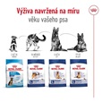 Royal Canin Maxi Adult 4 kg - Granule pro psy