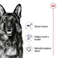 Royal Canin Maxi Adult 4 kg - Granule pro psy