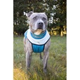 Obleček svetr Tulák Frankie modrý 55cm - Oblečky pro psy: vesty, bundy, kombinézy