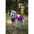 Obleček svetr Frankie vínový 55cm - Oblečky pro psy: vesty, bundy, kombinézy