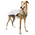 Obleček svetr Frankie khaki 36cm - Oblečky pro psy: vesty, bundy, kombinézy