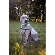 Obleček svetr Frankie khaki 36cm - Oblečky pro psy: vesty, bundy, kombinézy