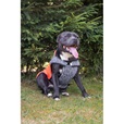 Obleček svetr Frankie XL oranžovo-šedý 50cm - Oblečky pro psy: vesty, bundy, kombinézy