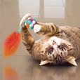 KONG Cat Active Bubble Ball mix - Hračky pro kočky, catnip