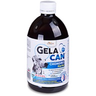 Gelacan Chondro Forte biosol 500 ml - Doplňky výživy, zubní péče