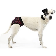 Hárací kalhotky Neon, černé 55 cm - Oblečky pro psy: vesty, bundy, kombinézy