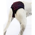 Hárací kalhotky Neon, černé 36 cm - Oblečky pro psy: vesty, bundy, kombinézy