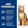 Hill's Prescription Diet Feline c/d Multicare kuře 12 kg - Granule pro kočky, krmivo pro kočky