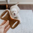 Benebone Dental Chew Bacon M - Akční nabídka