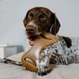 Benebone Dental Chew Bacon L - Akční nabídka