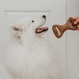 Benebone Dental Chew Bacon L - Akční nabídka