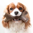 Benebone Maplestick S - Akční nabídka