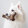 Benebone Maplestick M - Akční nabídka