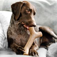 Benebone Maplestick L - Akční nabídka