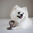 Benebone Dental Chew & Wishbone Bacon XS 2 ks - Hračky pro psy