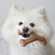 Benebone Dental Chew & Wishbone Bacon XS 2 ks - Hračky pro psy