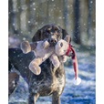 Rosewood Cupid and Comet Brad Bear - Hračky pro psy