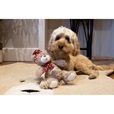 Rosewood Cupid and Comet Brie Bear - Hračky pro psy