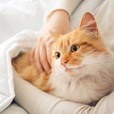 Nature's Protection Anti–Hairball Malt Paste for Sterilised Cats 100 ml - Doplňky výživy, zubní péče