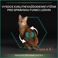 Pro Plan Cat Adult Sterilised Renal Plus krůta 10 + 2 kg - Granule pro kočky, krmivo pro kočky