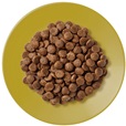 Applaws Cat kuře s jehněčím 7,5 kg - Granule pro kočky, krmivo pro kočky