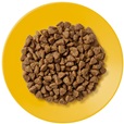 Applaws Cat Kitten kuře 2 kg - Granule pro kočky, krmivo pro kočky