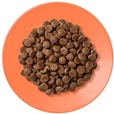 Applaws Cat kuře s lososem 7,5 kg - Granule pro kočky, krmivo pro kočky