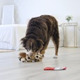 KONG Comfort Pups Spot M - Hračky pro psy
