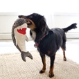 KONG Cuteseas Rufflez Shark M/L - Hračky pro psy