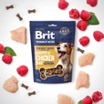 Brit Premium by Nature Snacks Happy Chicken Day with Raspberry 180 g - Pamlsky pro psy