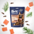 Brit Premium by Nature Snacks Happy Salmon Day with Dill 180 g - Pamlsky pro psy