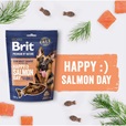 Brit Premium by Nature Snacks Happy Salmon Day with Dill 180 g - Pamlsky pro psy