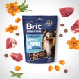 Brit Premium by Nature Snacks Happy Lamb Day with Sea Buckthorn 180 g - Pamlsky pro psy