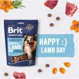 Brit Premium by Nature Snacks Happy Lamb Day with Sea Buckthorn 180 g - Pamlsky pro psy