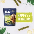 Brit Premium by Nature Snacks Happy Dental Day with Collagen & Spirulina M - Doplňky výživy, zubní péče