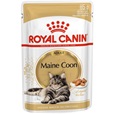 Royal Canin Maine Coon Adult in Gravy multipack 12 × 85 g - Konzervy pro kočky