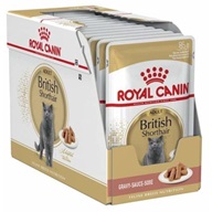 Royal Canin British Shorthair Adult in Gravy multipack 12 × 85 g - Kapsičky pro kočky