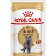 Royal Canin British Shorthair Adult in Gravy multipack 12 × 85 g - Akční nabídka
