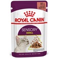 Royal Canin Sensory Smell in Gravy multipack 12 × 85 g - Konzervy pro kočky