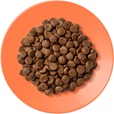 Applaws Cat kuře s lososem 400 g - Granule pro kočky, krmivo pro kočky