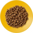 Applaws Cat Kitten kuře 7,5 kg - Granule pro kočky, krmivo pro kočky